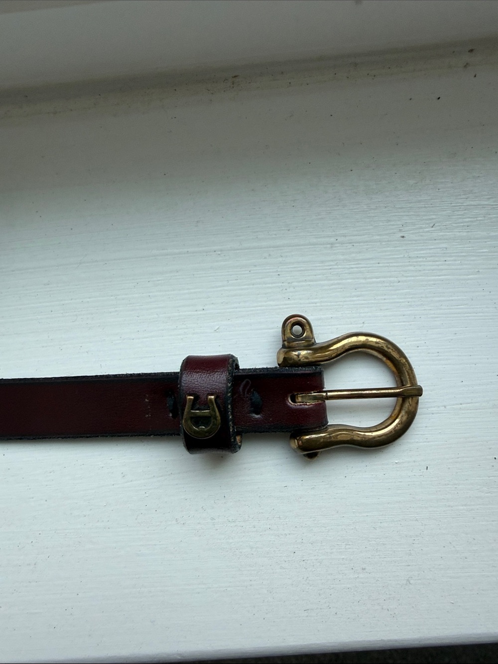 Etienne Aigner Dark Brown Leather Belt with Brass Buckle